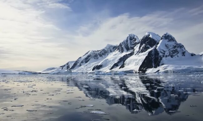 Einzigartige Entdeckung in der Natur. Quelle: Screenshot YouTube