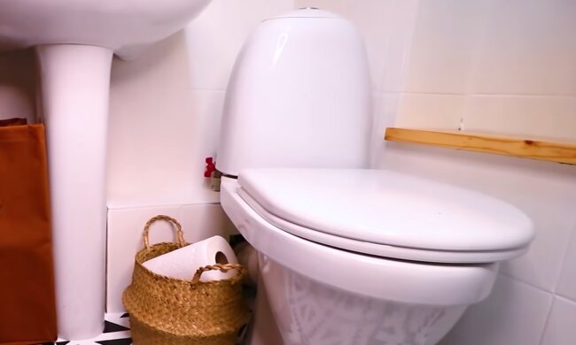 Frau beschloss, eine alte Toilette zu verwandeln. Quelle: Screenshot Youtube