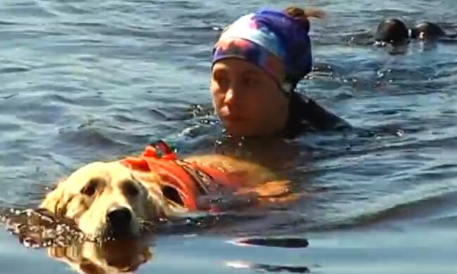 Unterstützung des vierbeinigen Retters. Quelle: Screenshot YouTube