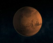 Außerirdisches Leben "zu 100 Prozent bestätigt": Rosa und grüne "Pflanze" auf dem Mars gefunden