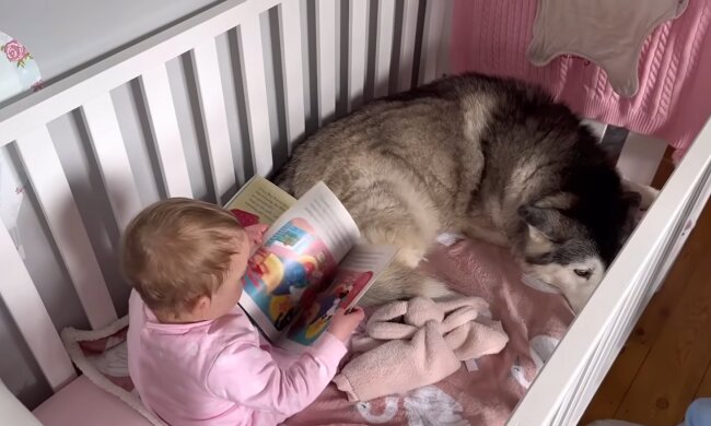 Husky mit dem Baby im Bett. Quelle: Youtube Screenshot