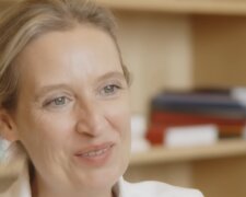 Warum die AfD nicht aus der Debatte verschwindet. Quelle: Youtube Screenshot