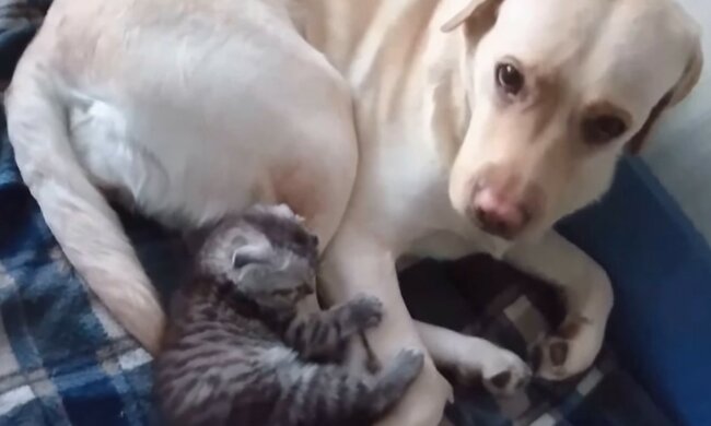 Es gibt keine fremden Kinder