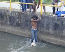 Der Junge hörte ein Heulen, das aus einem Flusskanal kam, und rannte zu Hilfe