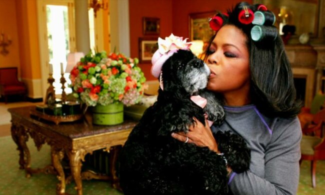 Begeisterte Hundeliebhaberin: Oprah Winfrey hat ihrem Testament eine Klausel hinzugefügt, nach der ihre Lieblingstiere 30 Millionen US-Dollar erhalten