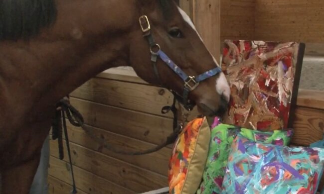 Pferd Metro. Quelle: YouTube Screenshot