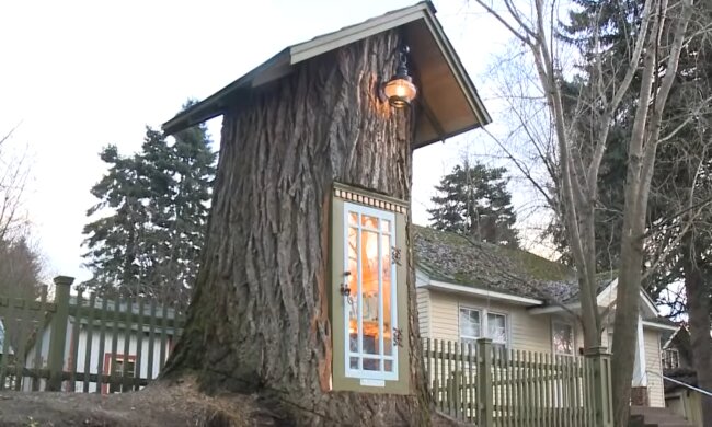 Die ungewöhnlichste Bibliothek. Quelle: YouTube Screenshot