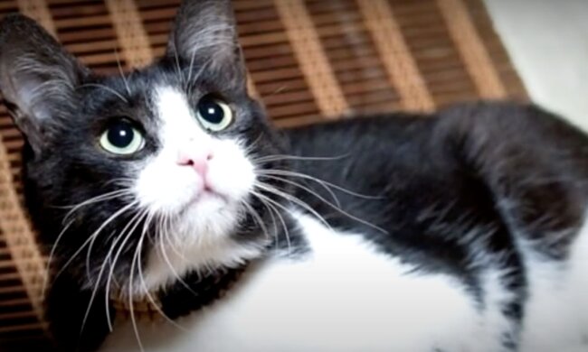 James. Quelle: Screenshot YouTube