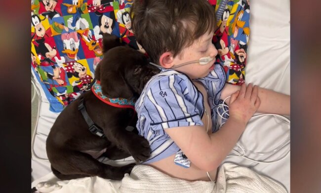 Immer zusammen. Quelle: Youtube Screenshot