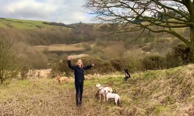 Rettung von Hunden. Quelle: Youtube Screenshot