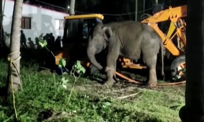 Rettungsaktion. Quelle: Youtube Screenshot