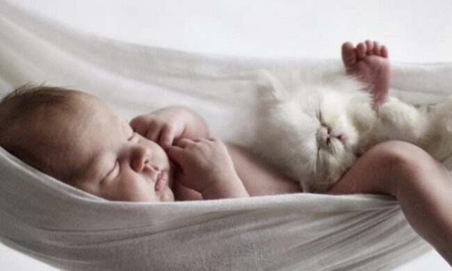 Die Katze hält das Baby. Quelle: www. wday.сom