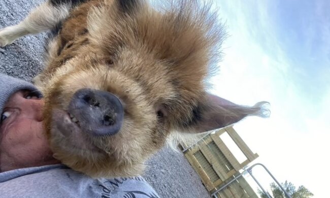 Tom und Moby. Quelle: Screenshot YouTube