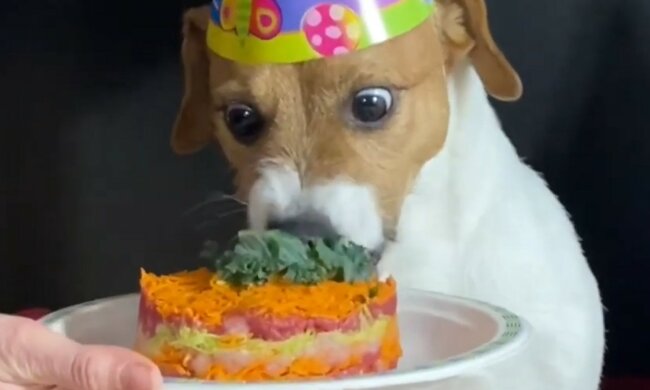 Geburtstagsfeier nach allen Regeln. Quelle: Screenshot YouTube