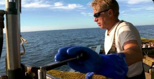 Eine treue Möwe begleitet seit 15 Jahren einen Mann auf seinem Boot, weil er ihr einst das Leben gerettet hat