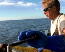 Eine treue Möwe begleitet seit 15 Jahren einen Mann auf seinem Boot, weil er ihr einst das Leben gerettet hat