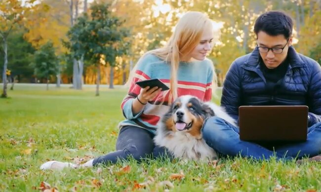 Ted. Quelle: Youtube Screenshot