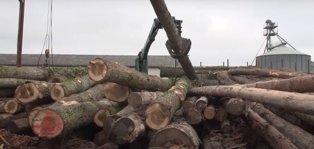 Brennholzpreise im Höhenflug. Quelle: Youtube Screenshot