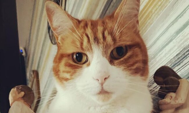 Arthur. Quelle: Instagram