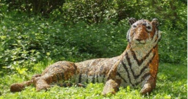 Die Polizei hat einen Tiger gefangen, der aus dem Zoo geflohen ist, sie hat sogar einen Hubschrauber angezogen: Als sie ihn gefangen haben, haben sie erkannt, dass es sich um ein Denkmal handelt