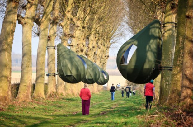 Wie entstand der exotische Blick auf das Zelt, in dem die Gäste an einem Baum hängend rasten