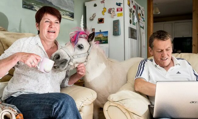 Warum ein Paar ein "Einhorn" als Haustier zu Hause hat