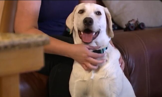 Grace. Quelle: Youtube Screenshot
