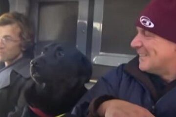 Einfallsreicher Hund fährt drei Haltestellen allein mit dem Bus, um in seinem Lieblingspark spazieren zu gehen