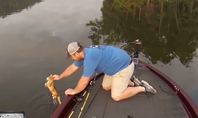 Erfolgreiche Rettungsaktion. Quelle: Screenshot YouTube