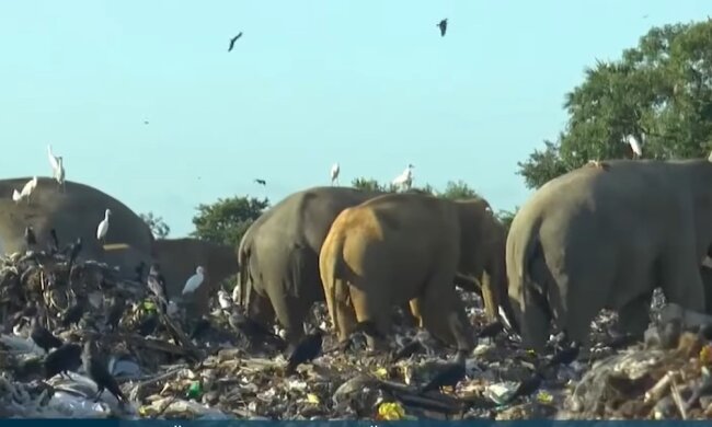 Schrottplatz. Quelle: Youtube Screenshot