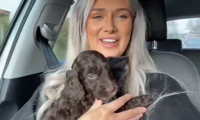 Jedes Hündchen verdient Liebe. Quelle: Screenshot YouTube