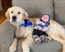 "Pelziger Babysitter": Der Golden Retriever liebt das Baby und kümmert sich liebevoll darüber