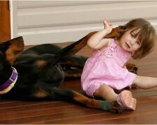 Die 2-jährige Charlotte spielte mit dem Dobermann, der anfing zu knurren: Die Mutter Katherine beruhigte sich nicht sofort, da der Hund das Baby beschützte