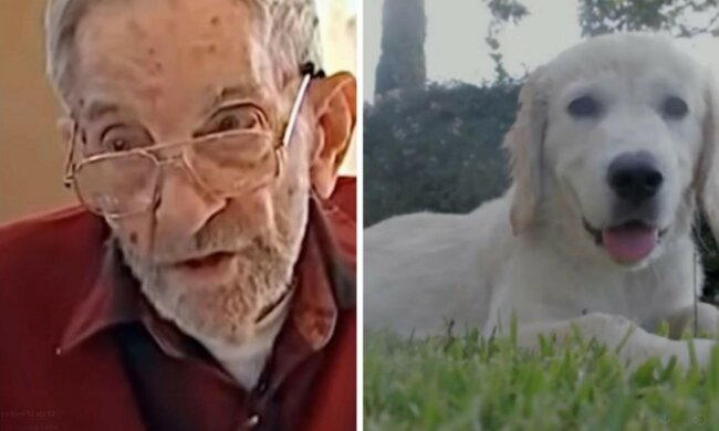 Gute Taten: Restaurantbesitzer hilft 93-jährigem Rentner und Hund rettet Frau aus Feuer