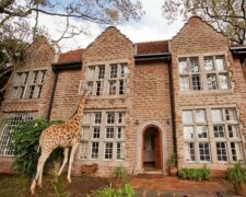 Mittagessen mit Giraffen: ein ungewöhnliches Hotel in Kenia, in dem diese Tiere häufig zu Gast sind