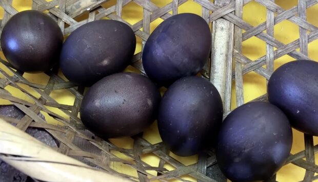 Schwarzen Eiern. Quelle: Screenshot YouTube