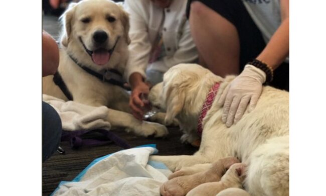 Foto: Video Screenshot