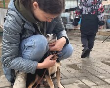 Von der Ukraine nach Deutschland. Quelle: Youtube Screenshot
