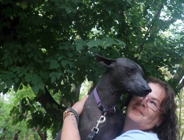 "Wenn wir spazieren gehen, schaut jeder auf sein Fell": Frau adoptiert kahlen Hund und sammelt Spenden für seine Behandlung