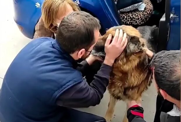 Hund Diko und sein Besitzer. Quelle: Screenshot Youtube