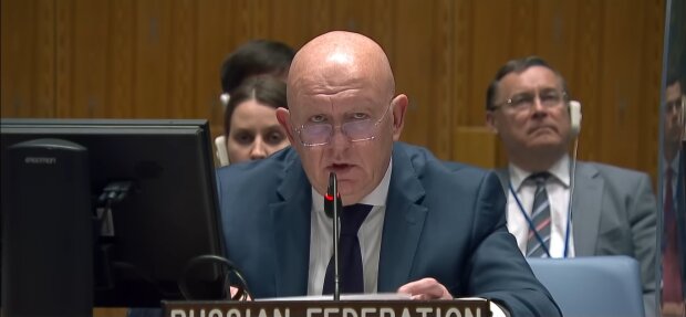 Russlands Vertreter im UN-Rat. Quelle: Youtube Screenshot