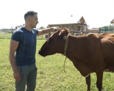 Glückliche Kühe. Quelle: Youtube Screenshot