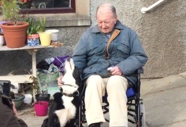 93-jährige Alan Leek wiedervereinigte sich mit seinem Hund. Quelle: Screenshot YouTube