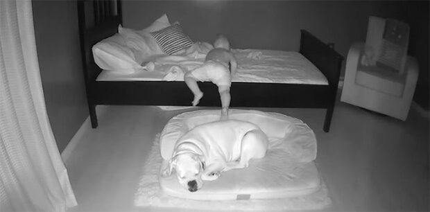 Der Junge steht mitten in der Nacht auf um mit seinem besten Freund auf dem Boden zu schlafen