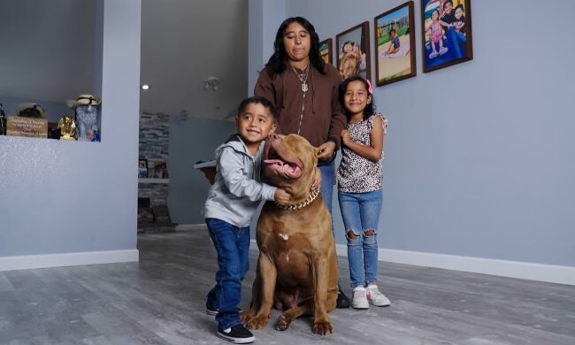 Pitbulls als liebevolle Beschützer. Quelle: Youtube Screenshot