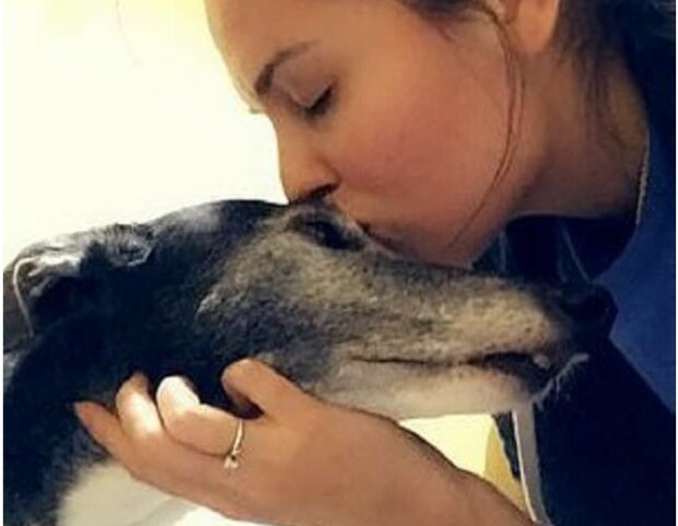 “Sie wird nicht laufen können”, sagten die Ärzte zu der weinenden Geliebten: Der Hund beschloss, es zu versuchen