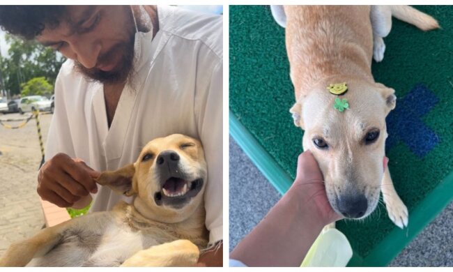 Mel. Quelle: Screenshot