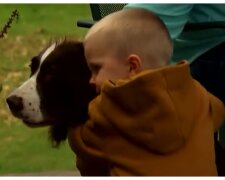 Junge umarmet den Hund. Quelle: Youtube Screenshot