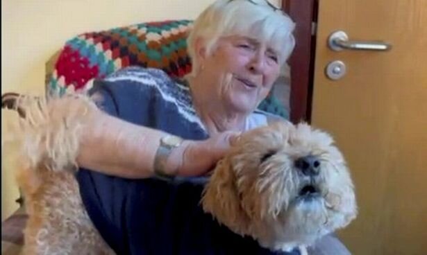 Eine Witwe konnte nicht aufhören zu weinen, als sie den Hund wiedersah, den ihr Mann ihr geschenkt hatte