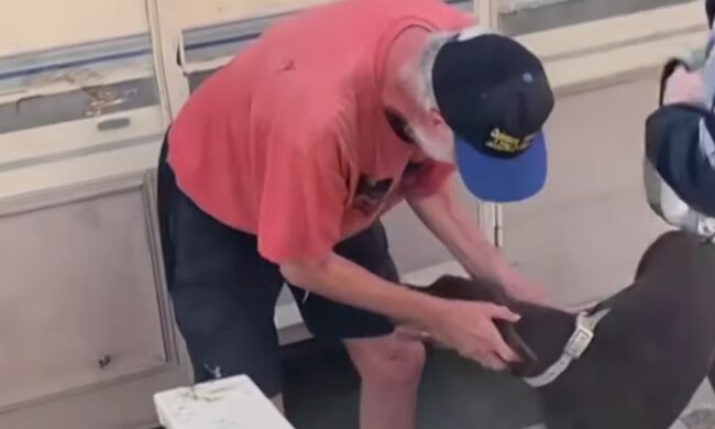 Mann konnte die Tränen nicht zurückhalten, als er seinen Hund sah. Quelle: Screenshot Youtube